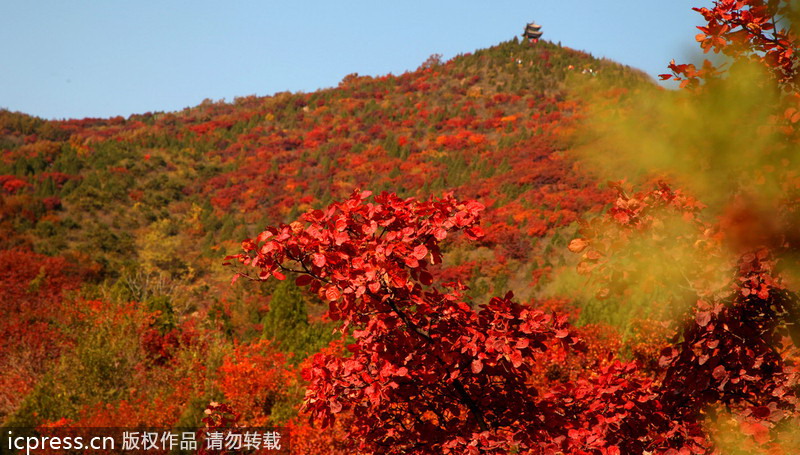 Autumn colors around China