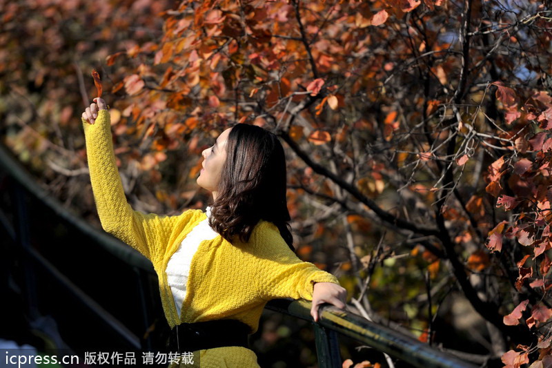 Top 10 places to enjoy autumn leaves in Beijing