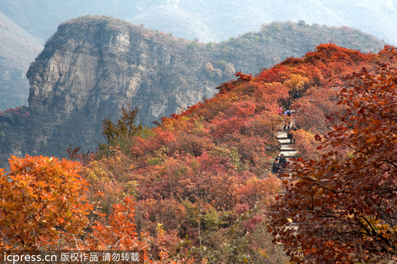 Top 10 places to enjoy autumn leaves in Beijing