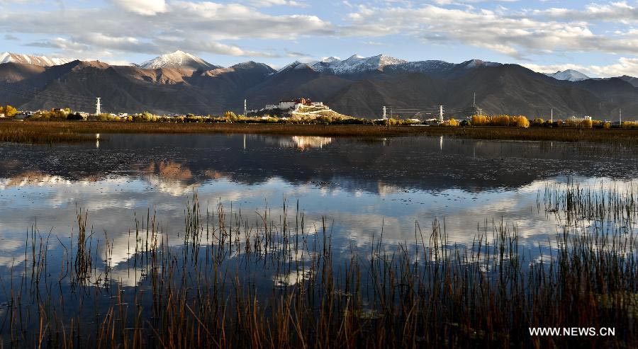 Lalu Wetland National Nature Reserve in Lhasa
