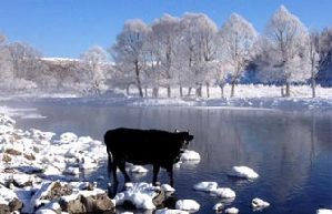 Arxan: Inner Mongolia's winter wonderland