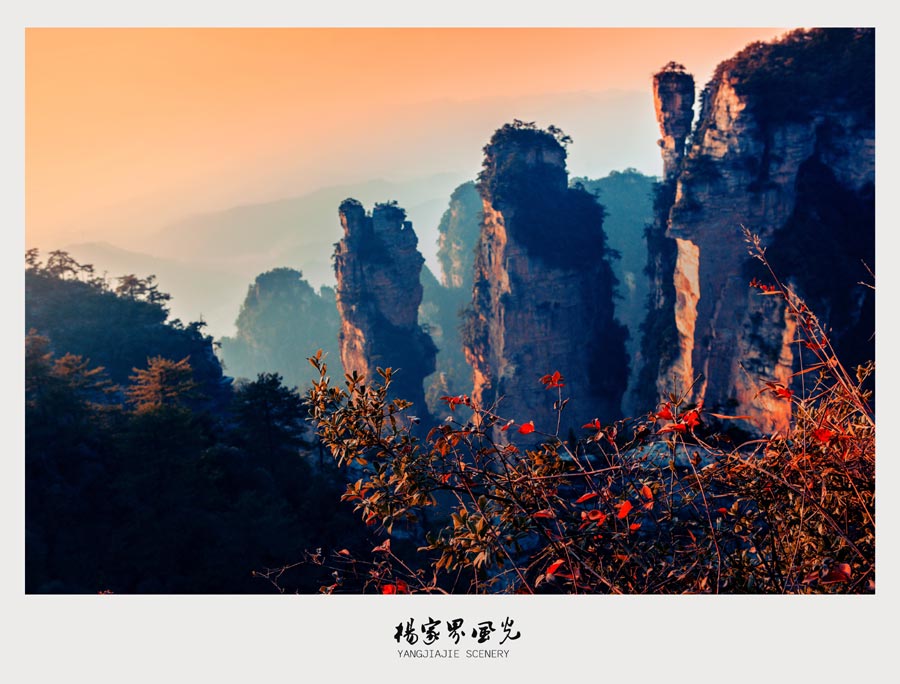 Magnificent peak walls in Yangjiajie