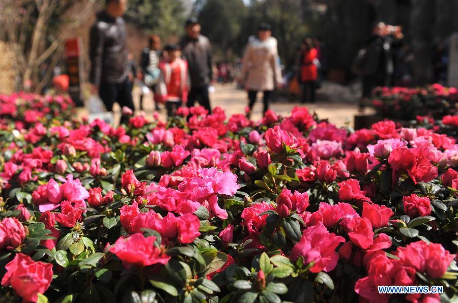 Kunming: spring is in the air