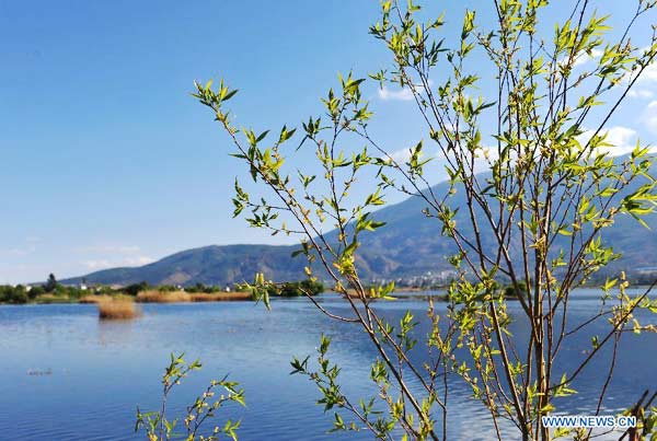 West Lake in Yunnan province