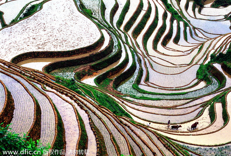 Top 10 most beautiful terraces in China