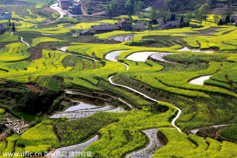 Top 10 most beautiful terraces in China