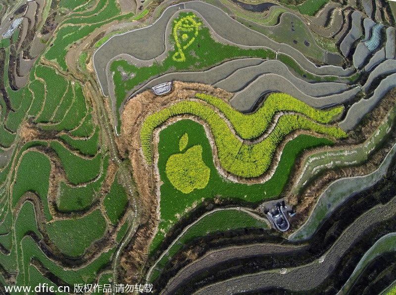 Flower terraces beckon romantic spirit