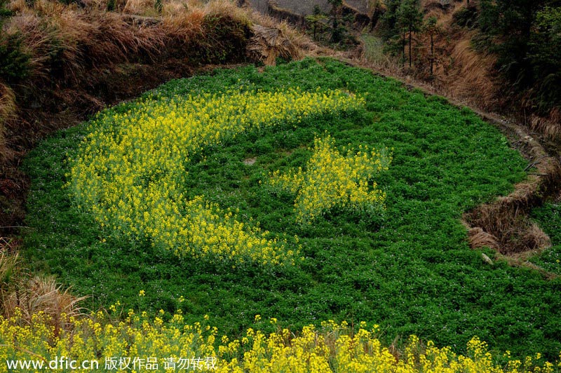 Flower terraces beckon romantic spirit