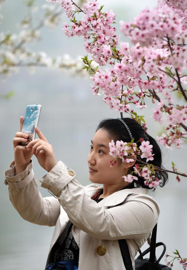 Travel tips for Qingming festival