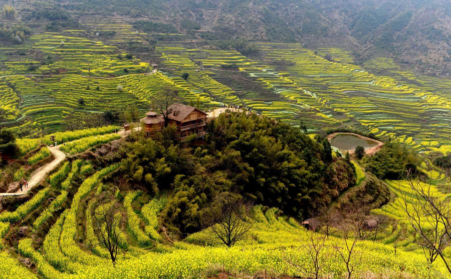 Travel tips for Qingming festival