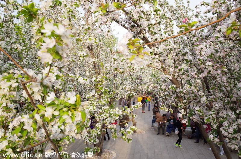 Qingming holiday embraces tourist boom