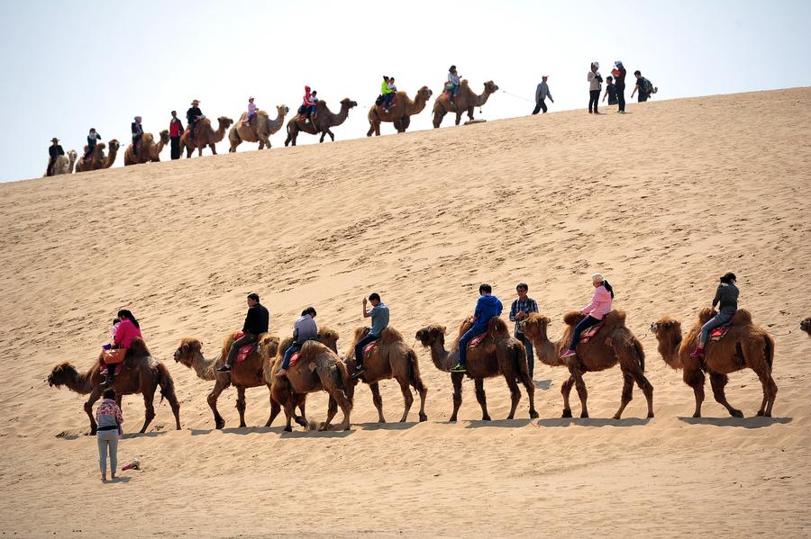 Ningxia receives 230,800 tourists during Qingming