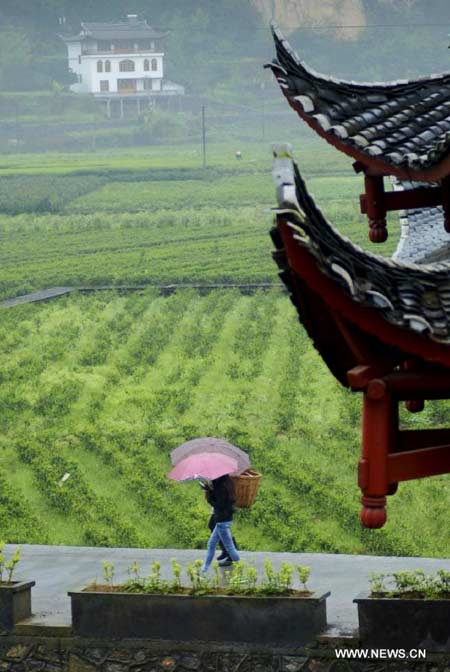 Traditional village of Tujia ethnic group in central China