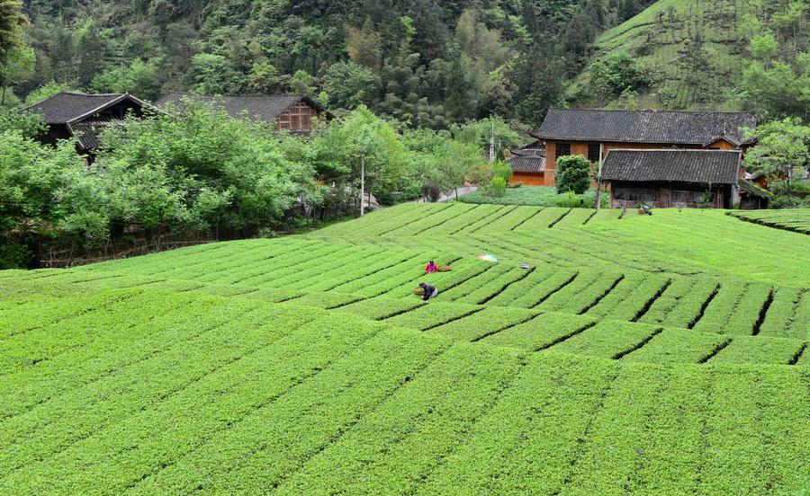 Maliuxi, land of idyllic beauty