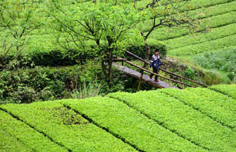 Neiwan Old Street of Hsinchu county in Taiwan