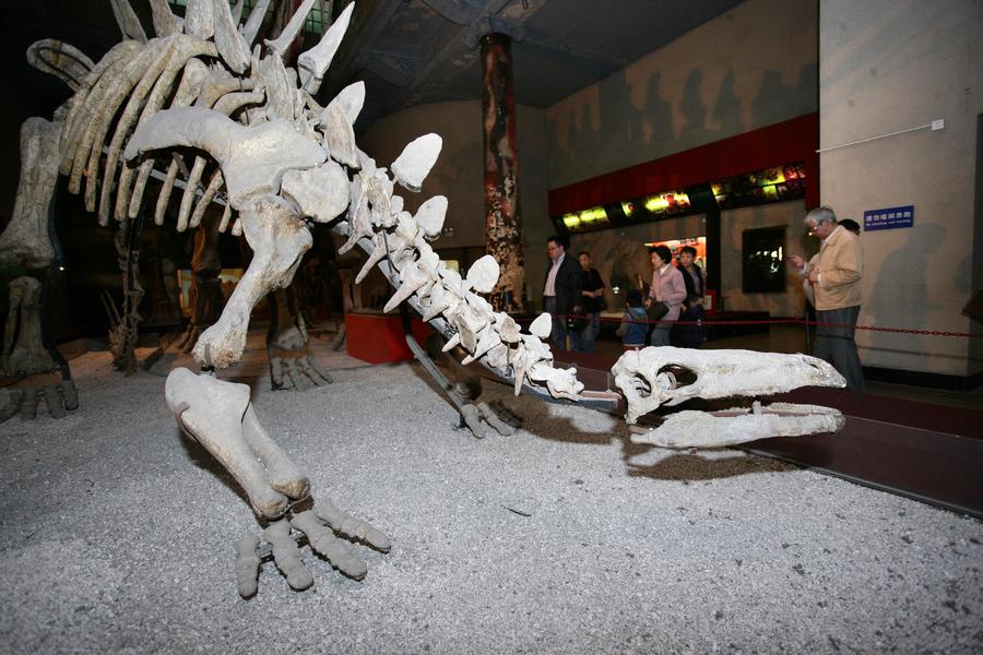 Shanghai locals bid farewell to childhood memories