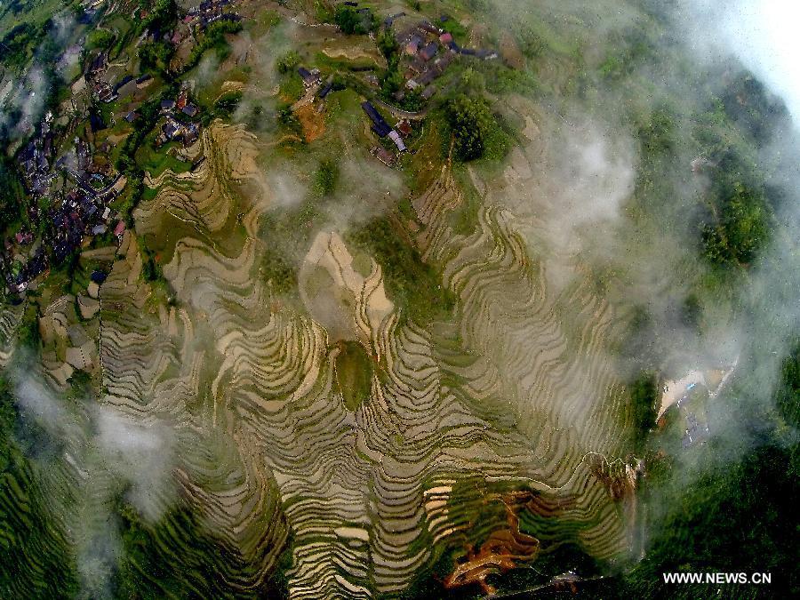 Terraced fields in Zhejiang