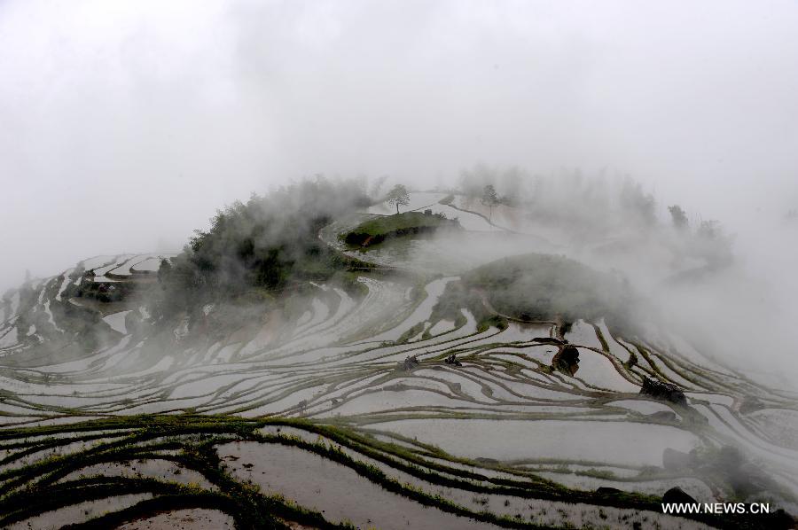 Terraced fields in Zhejiang