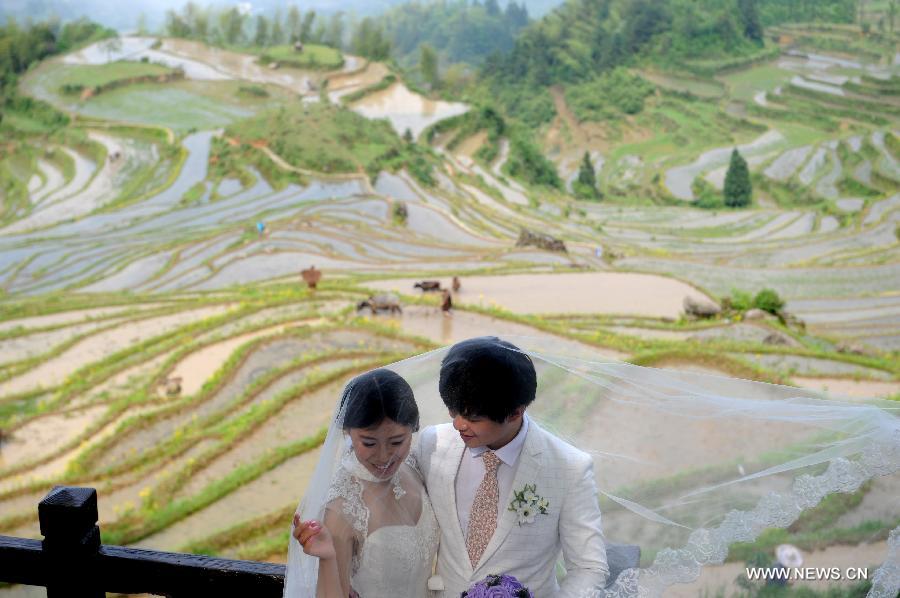 Terraced fields in Zhejiang