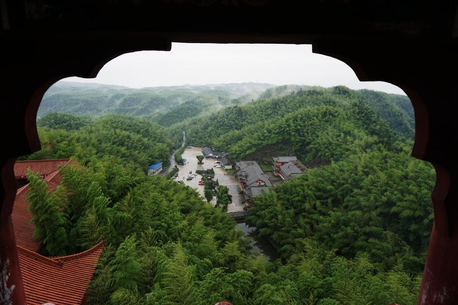 Scenery of Bamboo Sea in Sichuan