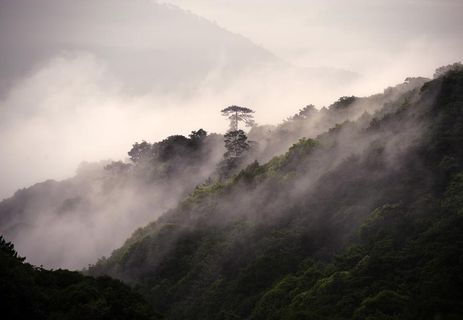 Meihua Mountain Nature Reserve in SE China