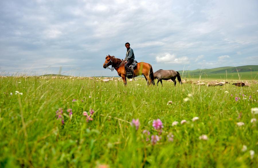 Scenery of Ulgai Grassland in N China