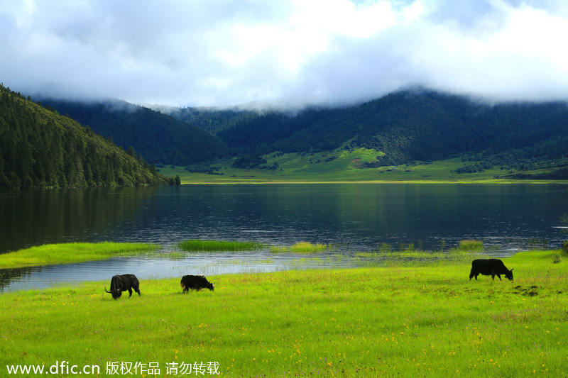 Top 10 family summer destinations in China