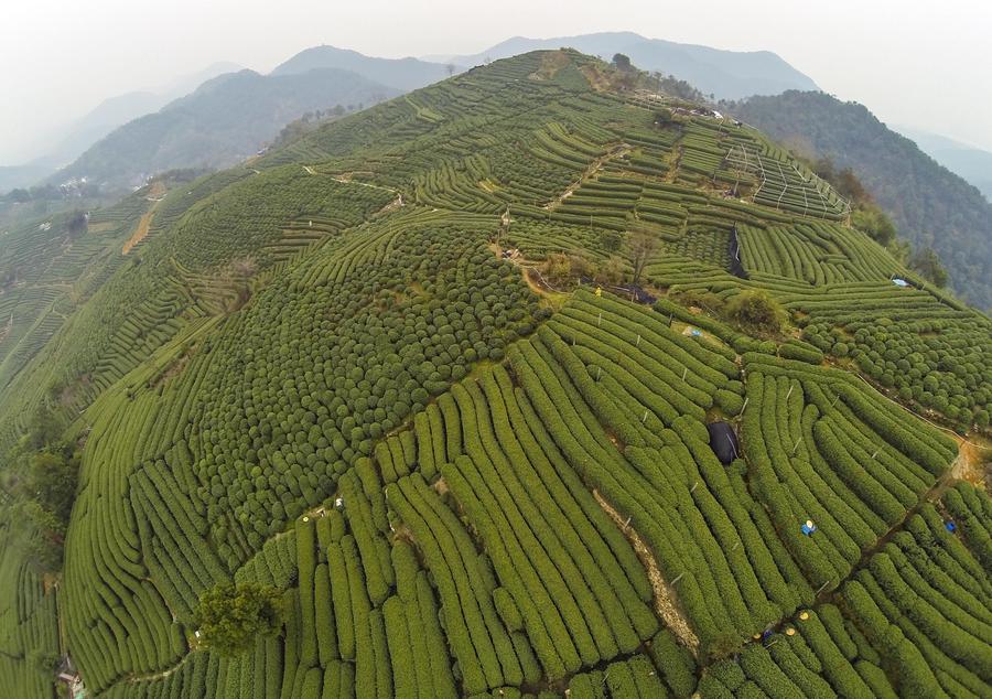 Amazing aerial scenery of China's Hangzhou