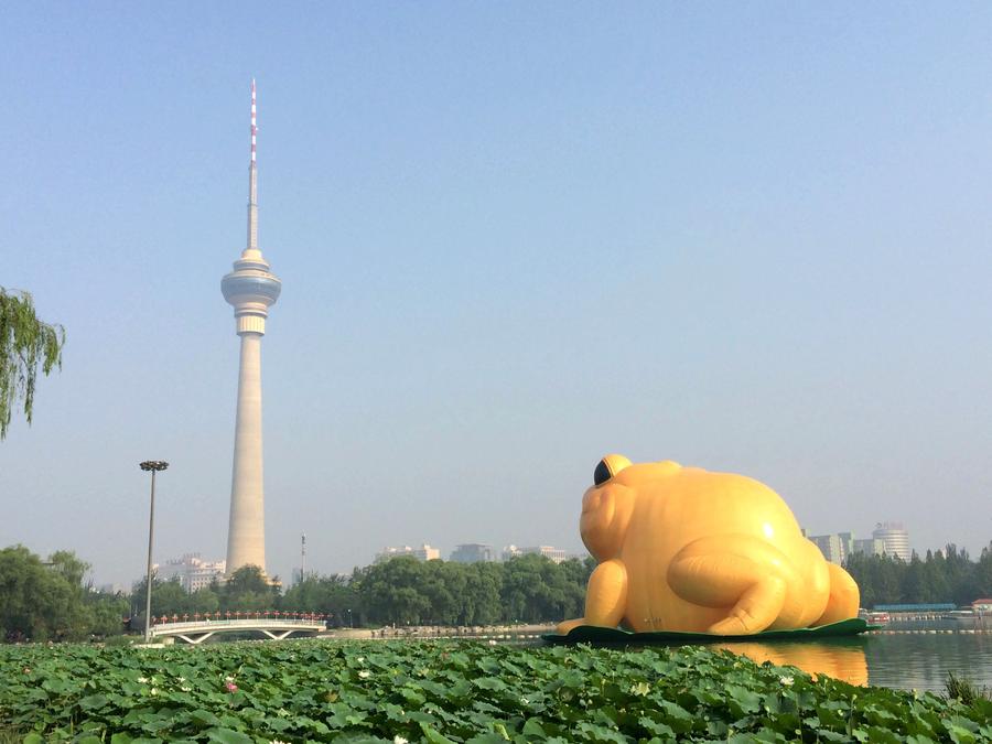 Giant inflatable toad appears in Beijing