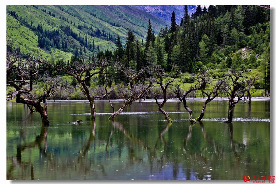 Breathtaking scenery of Mount Siguniang in SW China