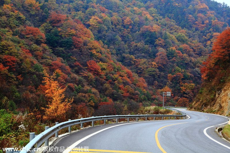 Top 10 routes for a road trip in China