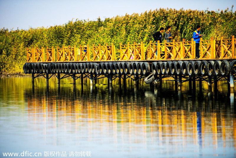 Clear as a mirror: fascinating scenes of China's 7 lakes