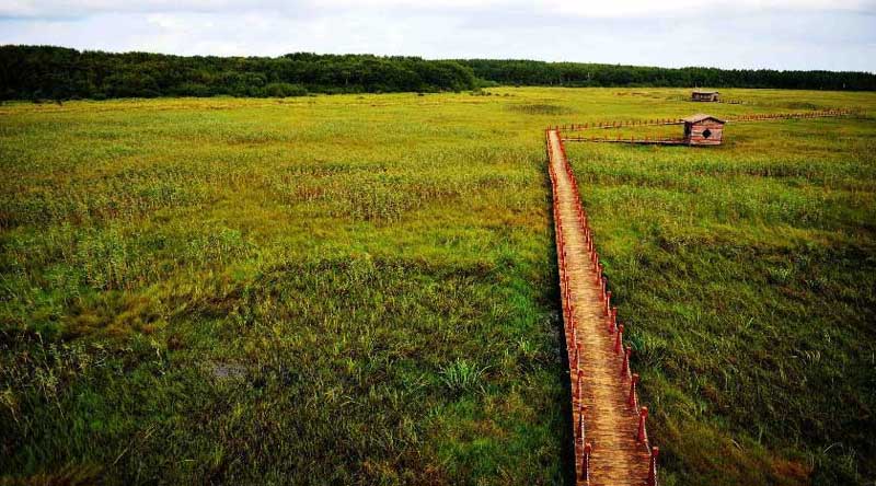 Tourists visit wetland of Honghe National Nature Reserve