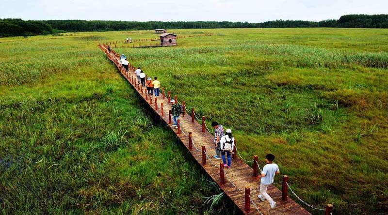 Tourists visit wetland of Honghe National Nature Reserve