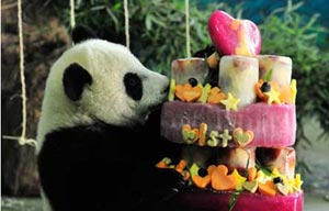 US zoo celebrates first birthday of panda Bao Bao