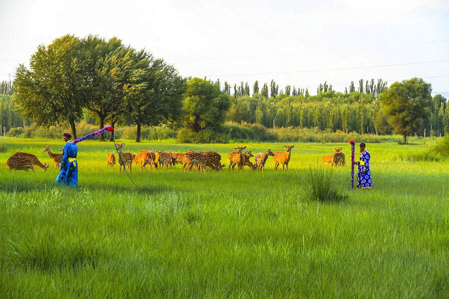 Inner Mongolian road trip