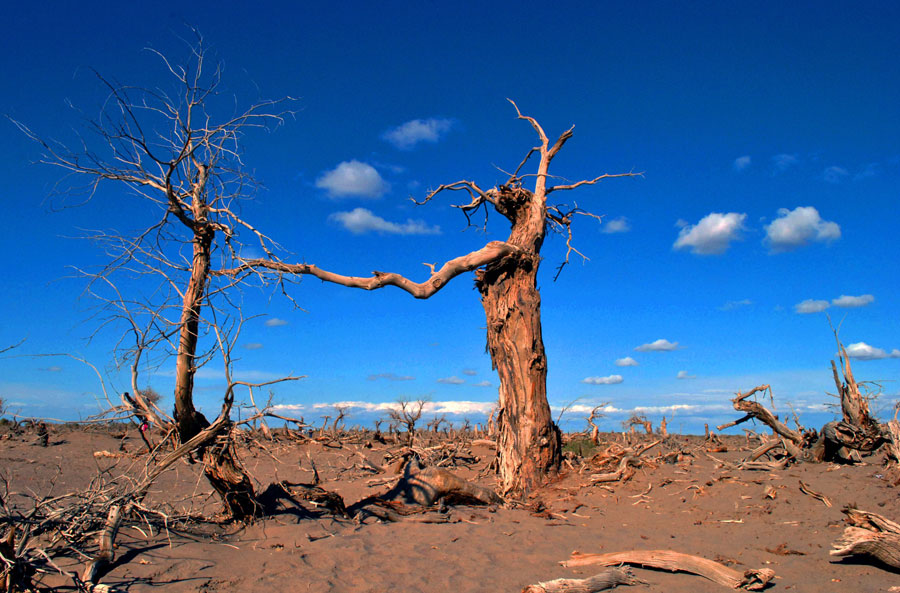 Inner Mongolian road trip