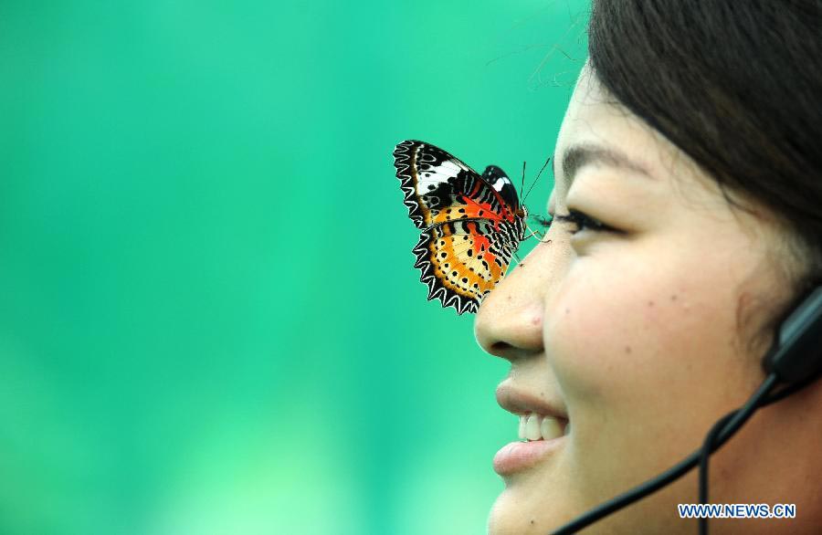 Butterfly carnival held in E China's Anhui