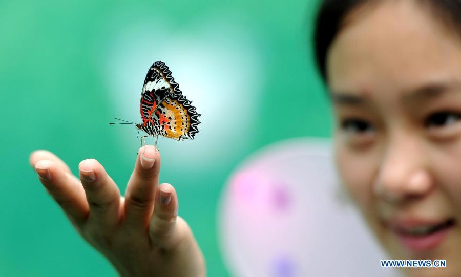 Butterfly carnival held in E China's Anhui