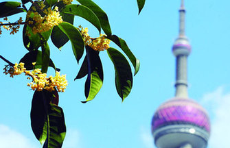 Panda figures displayed near West Lake in Hangzhou