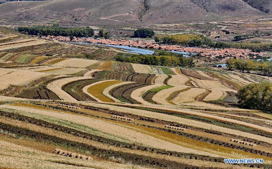 Scenery of terraced fields in N China's Zhangjiakou