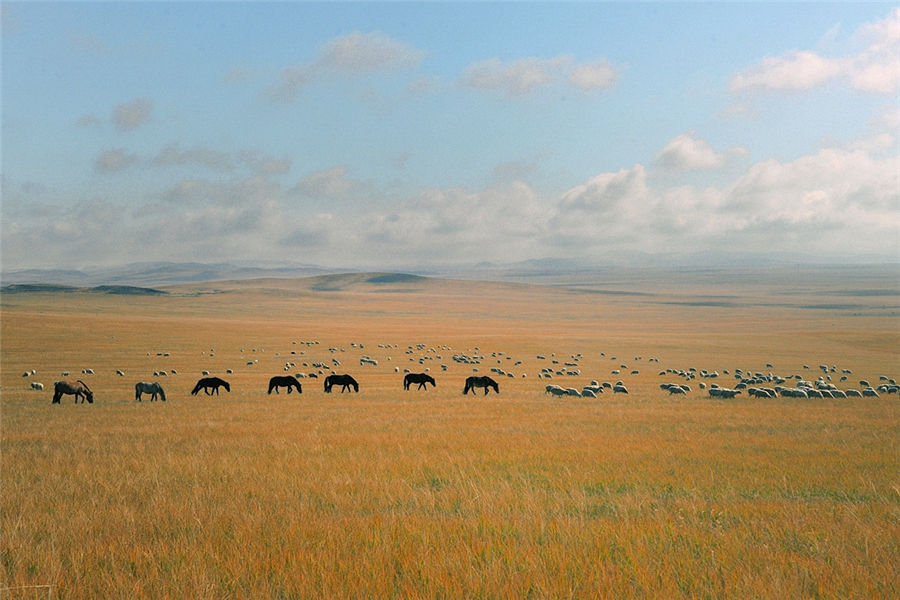 Autumn scenery of Xilinguole Grassland in Inner Mongolia