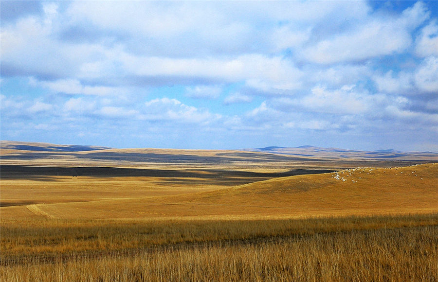 Autumn scenery of Xilinguole Grassland in Inner Mongolia