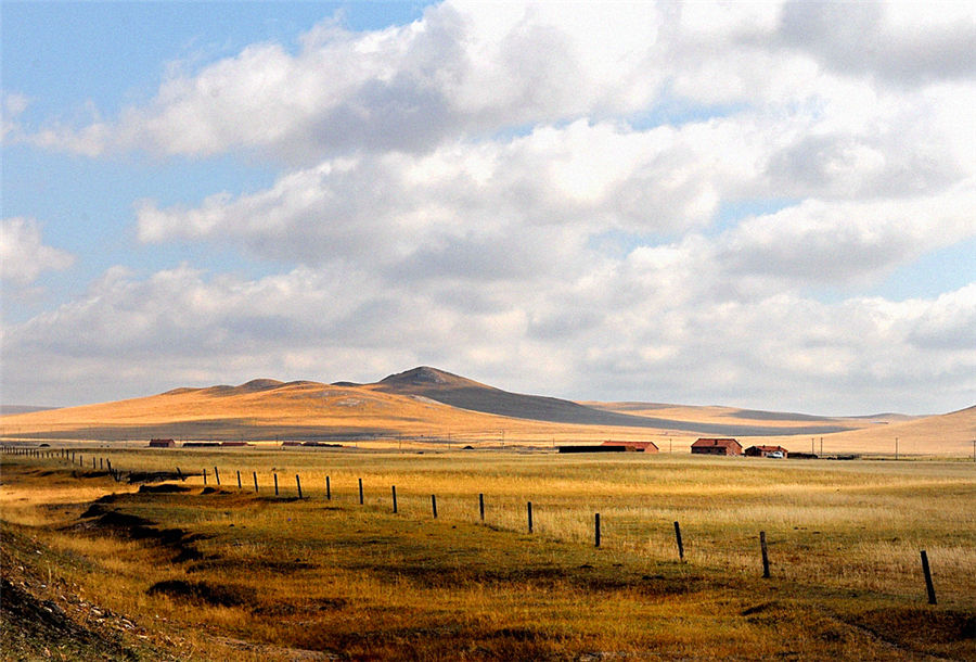 Autumn scenery of Xilinguole Grassland in Inner Mongolia