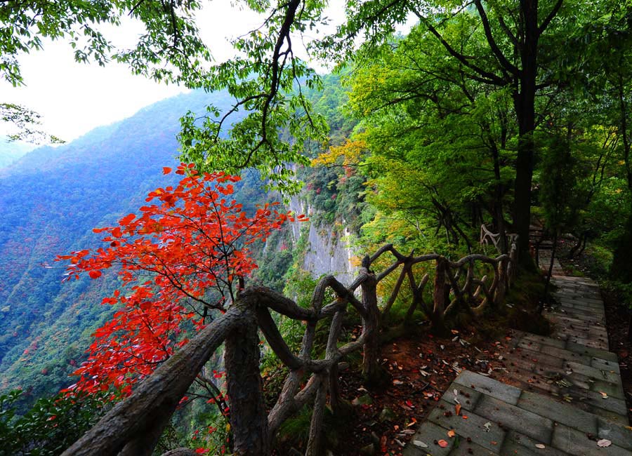 Qinling Mountain of Jinsi Grand Canyon