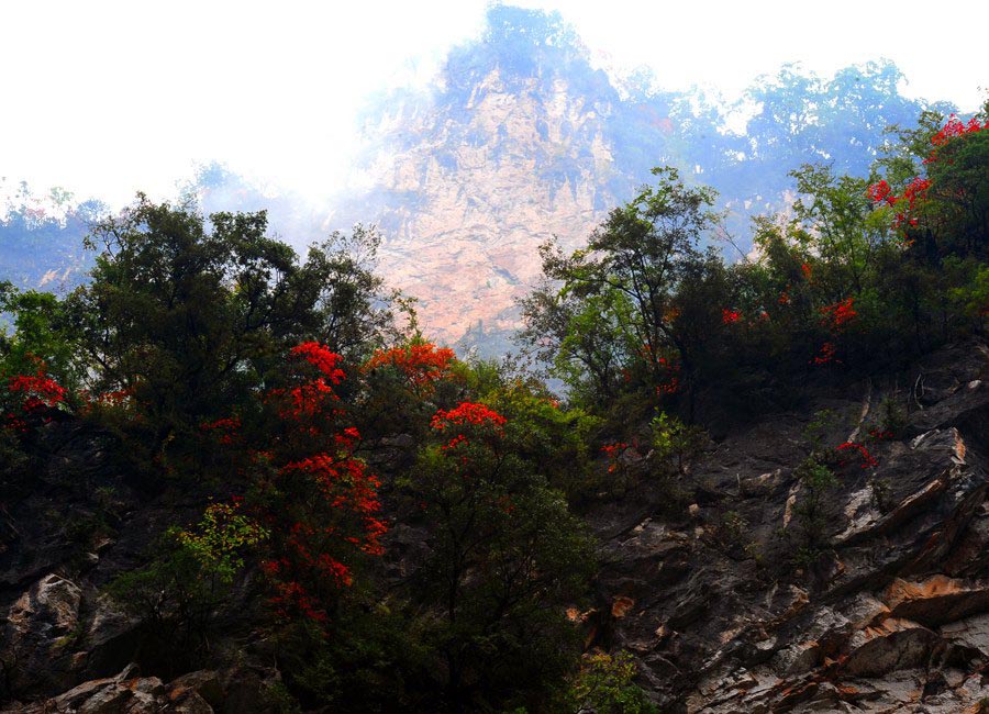 Qinling Mountain of Jinsi Grand Canyon