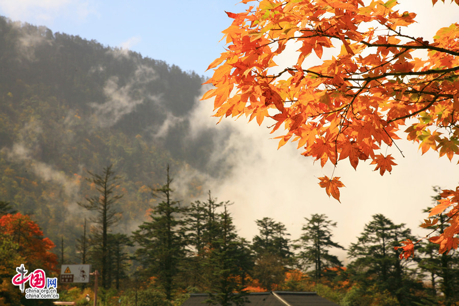 Colorful autumn of Emei Mountain