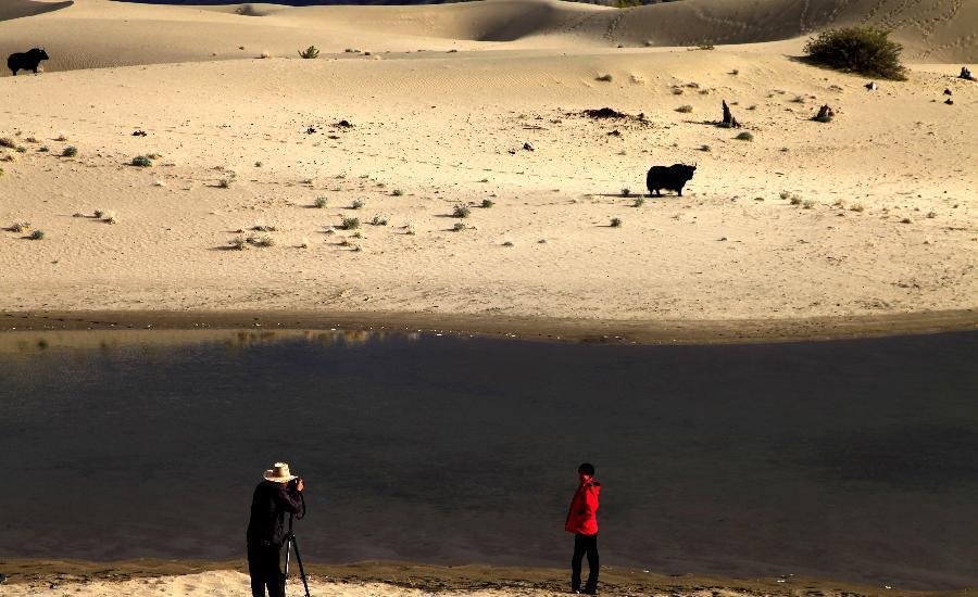 Scenery of tidal wetland in Tibet