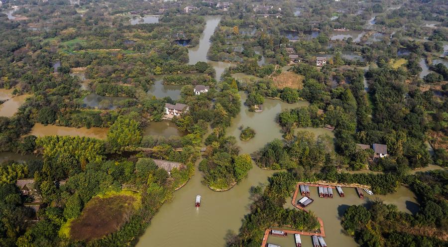 Autumn scenery in Xixi Wetland