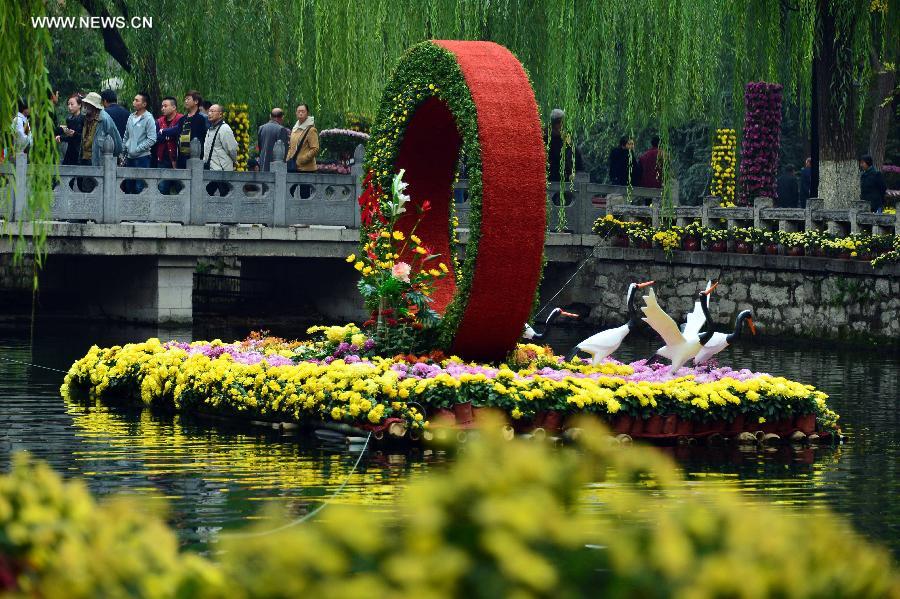 Colorful chrysanthemum at Baotu Spring Park in Jinan